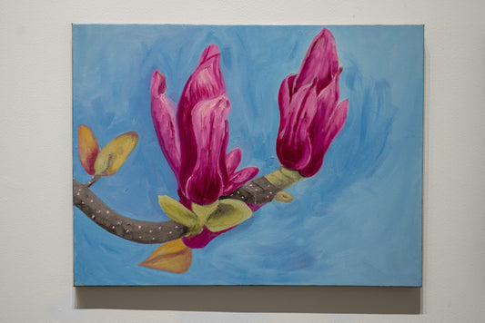 Budding Magnolia, 2023, oil on canvas, 18 x 24 in. / 45.72 x 60.96 cm.