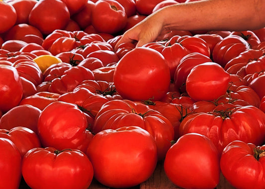 Choosing the Perfect Tomato, 2022, photography, 7 x 5 in. / 17.78 x 12.7 cm.