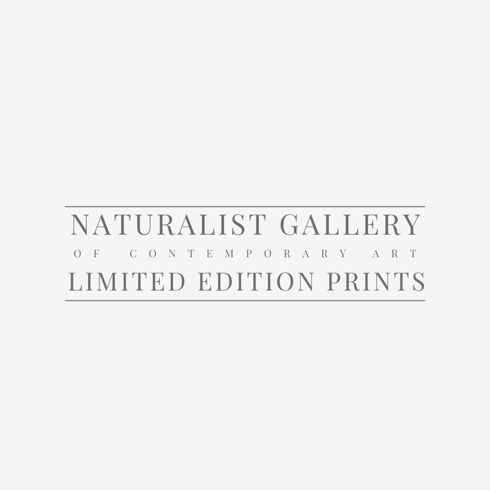 Accepted: https://naturalist.gallery/pages/accepted-limitededitionprints