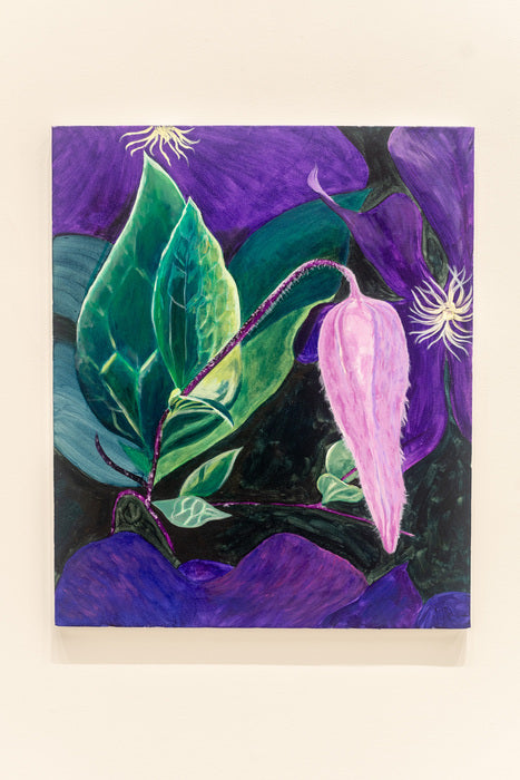 Clematis Bud, 2023, acrylic on canvas, 20 x 24 in. / 50.8 x 60.96 cm.