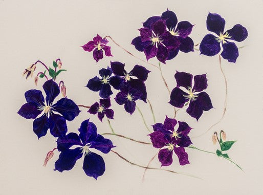 Clematis Triptych I, 2023, acrylic on canvas, 18 x 24 in. / 45.72 x 60.96 cm.