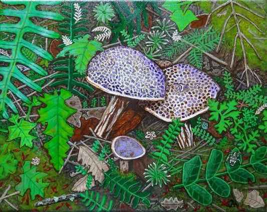 Cracked Cap Bolete (Mushroom), 2023, acrylic, 11 x 14 in. / 27.94 x 35.56 cm.