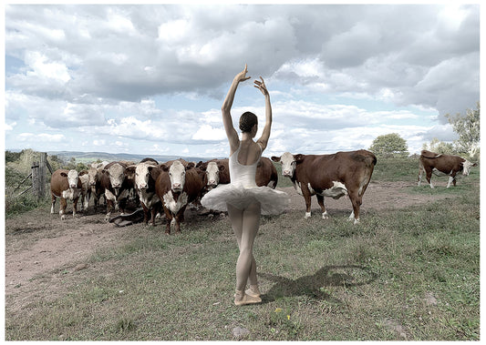 DEBUT, 2025, digital photography, 16 x 20 in. / 40.64 x 50.8 cm.