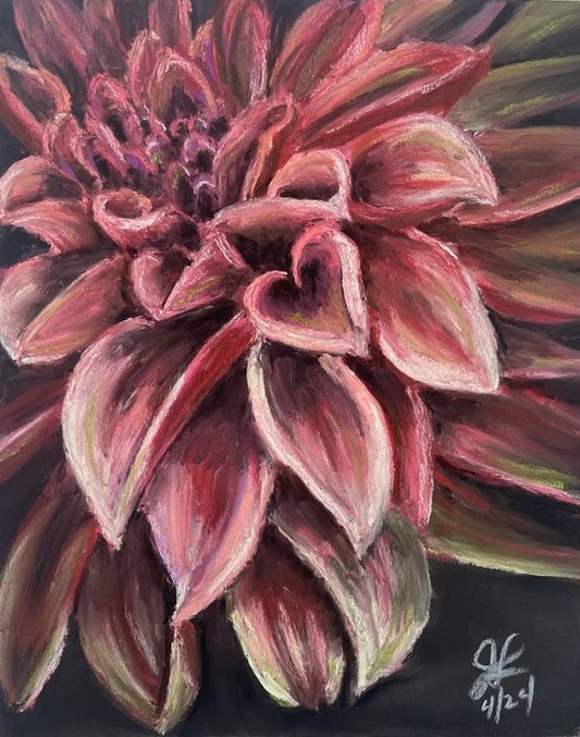 Dahlia, 2024, soft pastels, 10 x 8 in. / 25.4 x 20.32 cm.