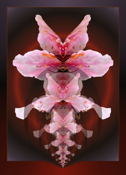 Dancing Flower Demon, 2023, digital photography, 18 x 25 in. / 45.72 x 63.5 cm.