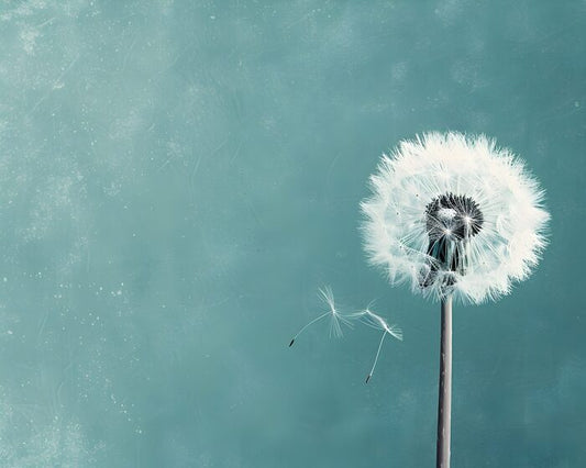 Dandelion Pappus, 2023, digital media, 16 x 20 in. / 40.64 x 50.8 cm.