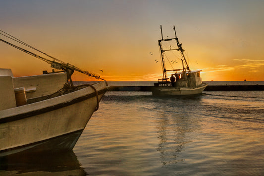 Dawn Departure, 2024, archival print, 16 x 24 in. / 40.64 x 60.96 cm.