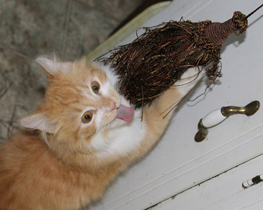 Demon Kitten Attacks Tassel, 2022, photography, 11 x 14 in. / 27.94 x 35.56 cm.