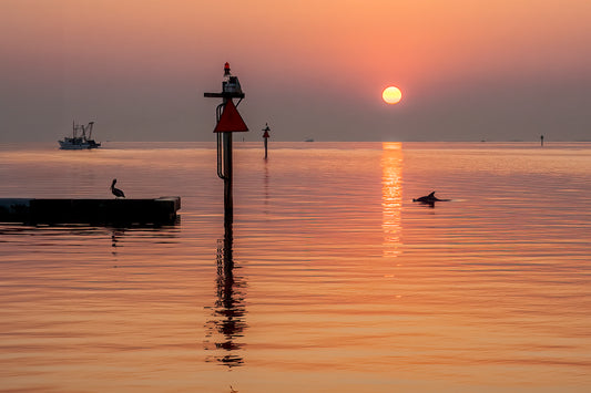 Dolphin at Sunrise, 2024, archival print, 16 x 24 in. / 40.64 x 60.96 cm.