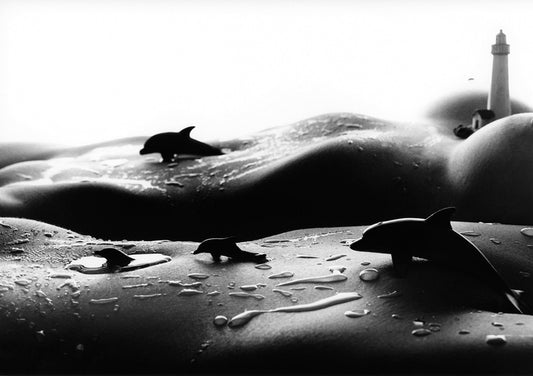 Dolphins, 2011, black and white photography, 20 x 24 in. / 50.8 x 60.96 cm.