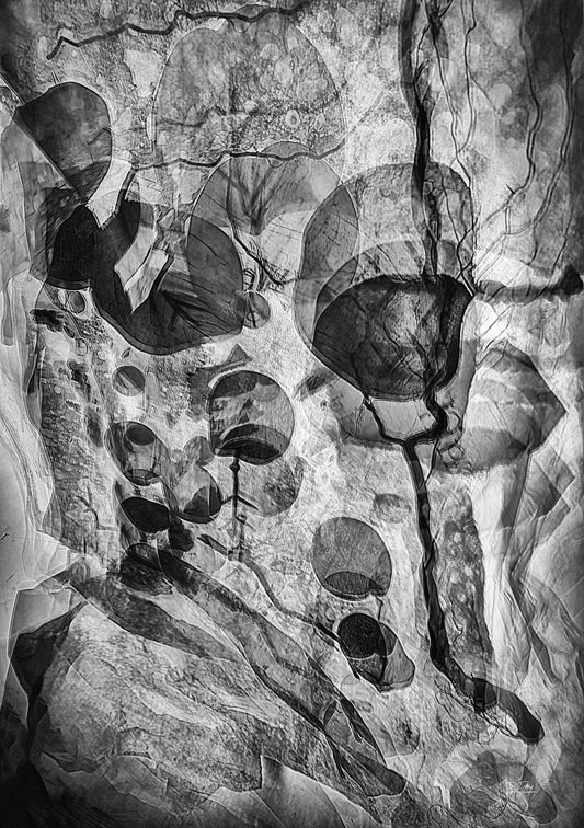 Drumming Up A Storm, 2025, photography, 18 x 24 in. / 45.72 x 60.96 cm.