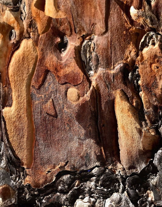 Dynamic Pallete, 2023, photography, 11 x 14 in. / 27.94 x 35.56 cm.