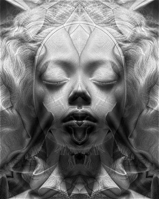 Fabric Portrait: No. 2,577 (Ex Tenebris Lux), 2024, mixed media, 20 x 16 in. / 50.8 x 40.64 cm.