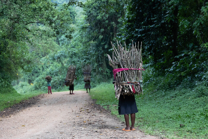 Firewood Collector, 2022, photography print, 16 x 20 in. / 40.64 x 50.8 cm.