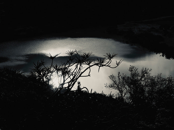 First Light On The Pond, 2024, photography, 20 x 15 in. / 50.8 x 38.1 cm.