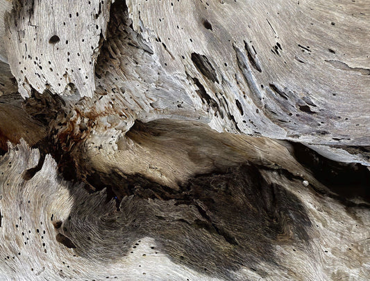 Flowing Shadow, 2023, photography, 11 x 14 in. / 27.94 x 35.56 cm.