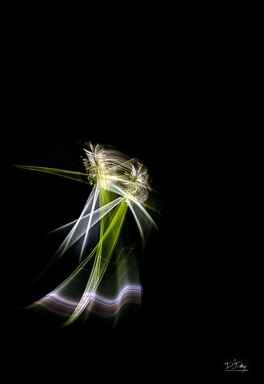 Fred and Ginger, 2022, photography, 11 x 14 in. / 27.94 x 35.56 cm.