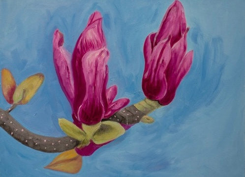 Budding Magnolia, 2023, oil on canvas, 18 x 24 in. / 45.72 x 60.96 cm.