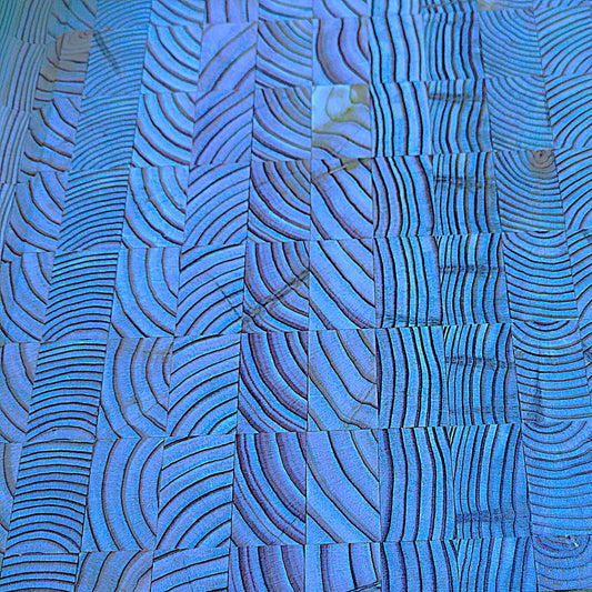 Growth Rings, 2024, digital photography, 12 x 12 in. / 30.48 x 30.48 cm.