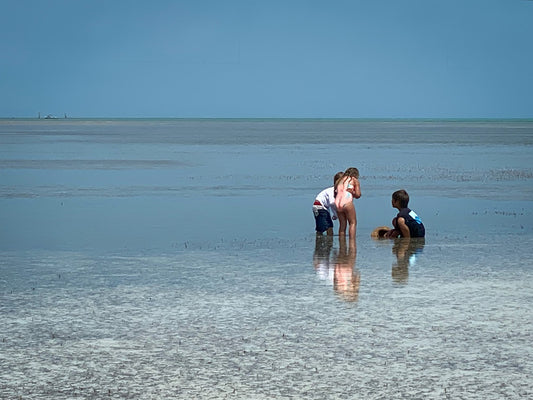 11. Summer Vacation, 2025, photography, 11 x 14 in. / 27.94 x 35.56 cm.