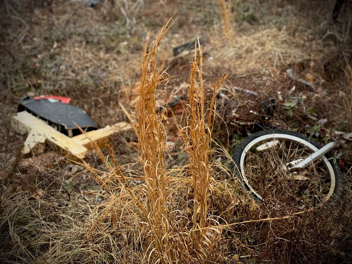 Forever Fractured, 2025, digital photography, 11 x 14 in. / 27.94 x 35.56 cm.