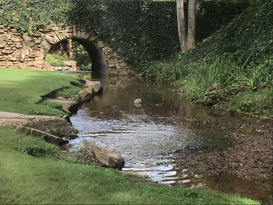 Close to Shakespeare, 2022, digital photography, 10 x 13 in. / 25.4 x 33.02 cm.