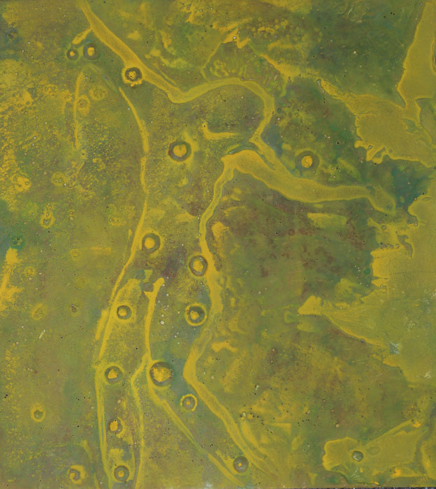 Yellow Nymph, 2016, oil on plaster, 13 x 12 in. / 33.02 x 30.48 cm.