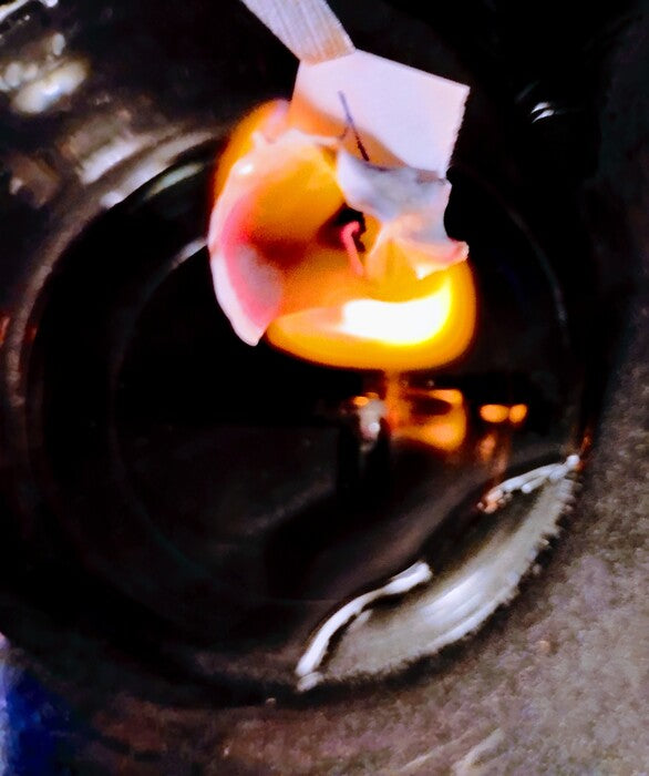 Slow Burn, 2025, photography, 16 x 20 in. / 40.64 x 50.8 cm.