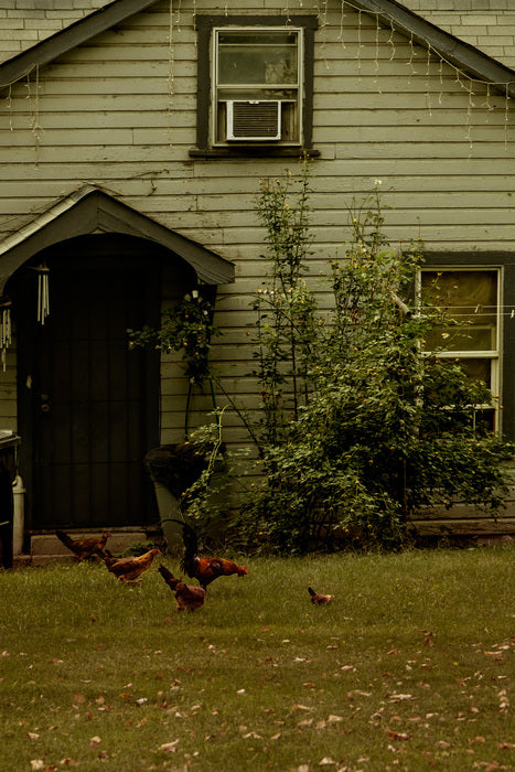 The Space Before Morning, 2025, archival inkjet print, 15 x 10 in. / 38.1 x 25.4 cm.