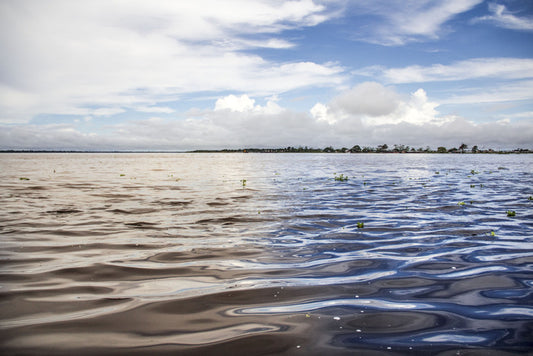 Amazon River and Nanay River, 2017, photography, 30 x 40 in. / 76.2 x 101.6 cm.