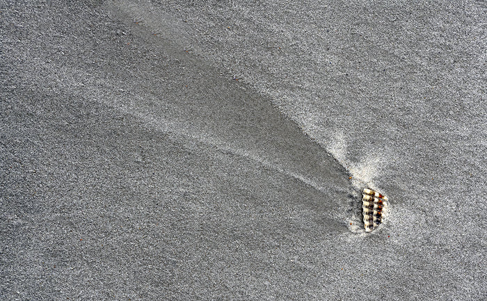 Venus' Comet, 2021, archival pigment print, 11 x 14 in. / 27.94 x 35.56 cm.