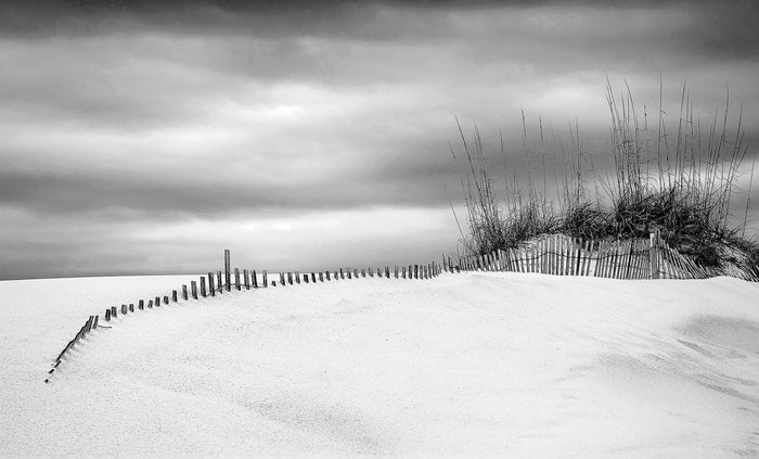 Dune Jazz, 2017, archival pigment print, 11 x 14 in. / 27.94 x 35.56 cm.