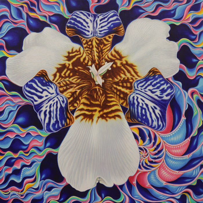 Kaleidoscope Iris, 2023, acrylic on canvas, 24 x 24 in. / 60.96 x 60.96 cm.