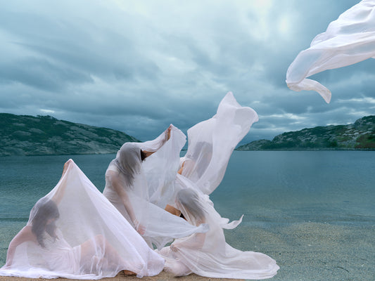 Fjord Visitation, 2023, fine art photography, 18 x 24 in. / 45.72 x 60.96 cm.