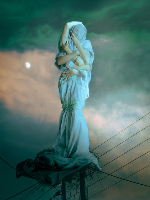 The Pedestal, 2024, fine art photography, 18 x 24 in. / 45.72 x 60.96 cm.