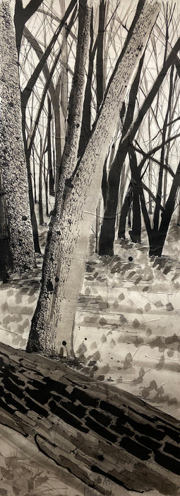 Pike Island Log, 2024, ink drawing, 52 x 19 in. / 132.08 x 48.26 cm.