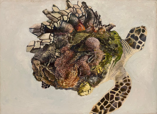 Barnacled Turtle, 2022, oil on glass in frame, 11 x 15 in. / 27.94 x 38.1 cm.
