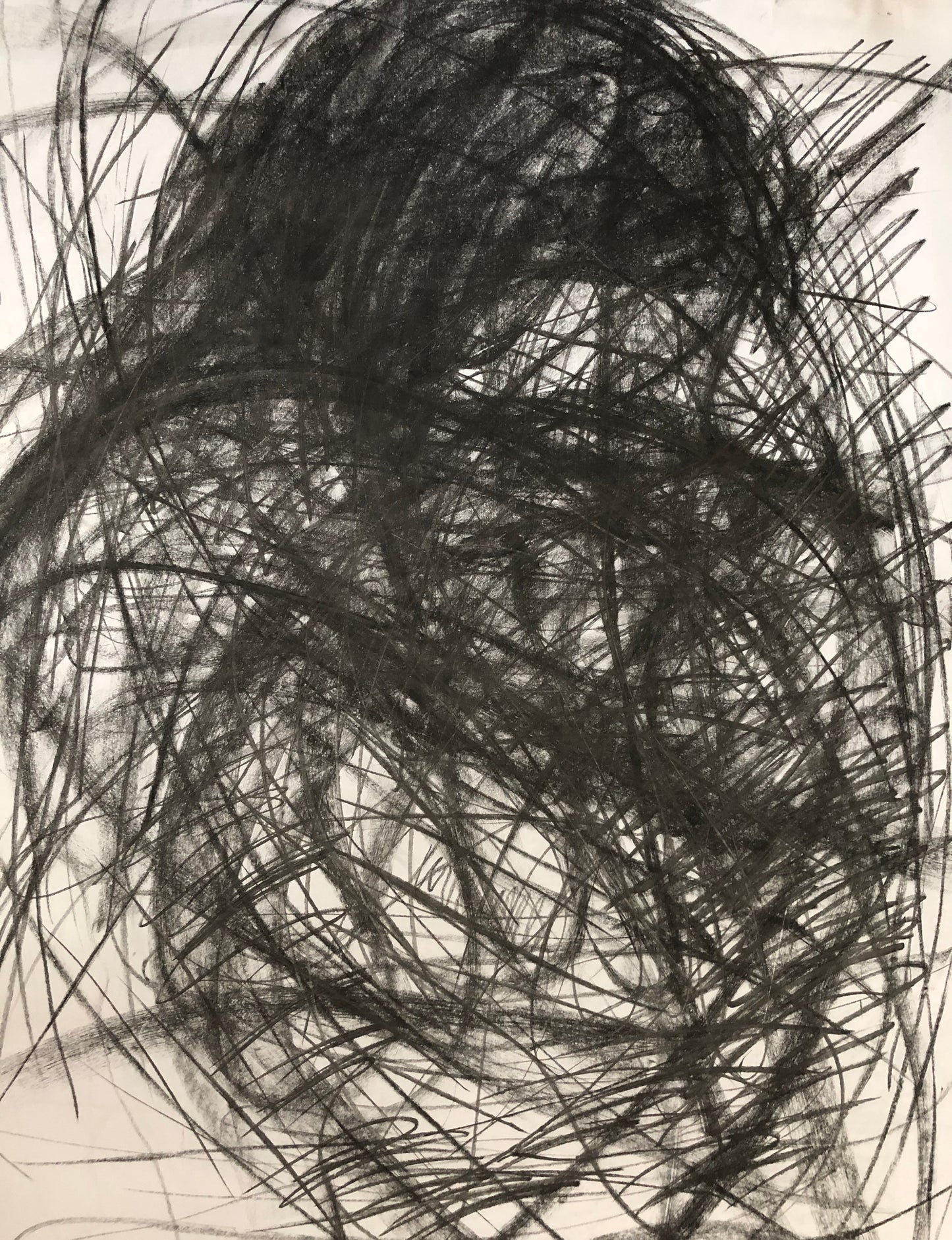 Emotional Awareness, 2019, charcoal, 20 x 26 in. / 50.8 x 66.04 cm.