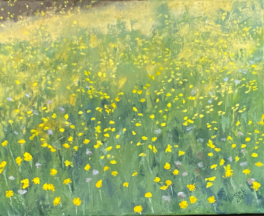 Field of Cat’s Ear, 2025, oil on linen, 16 x 20 in. / 40.64 x 50.8 cm.