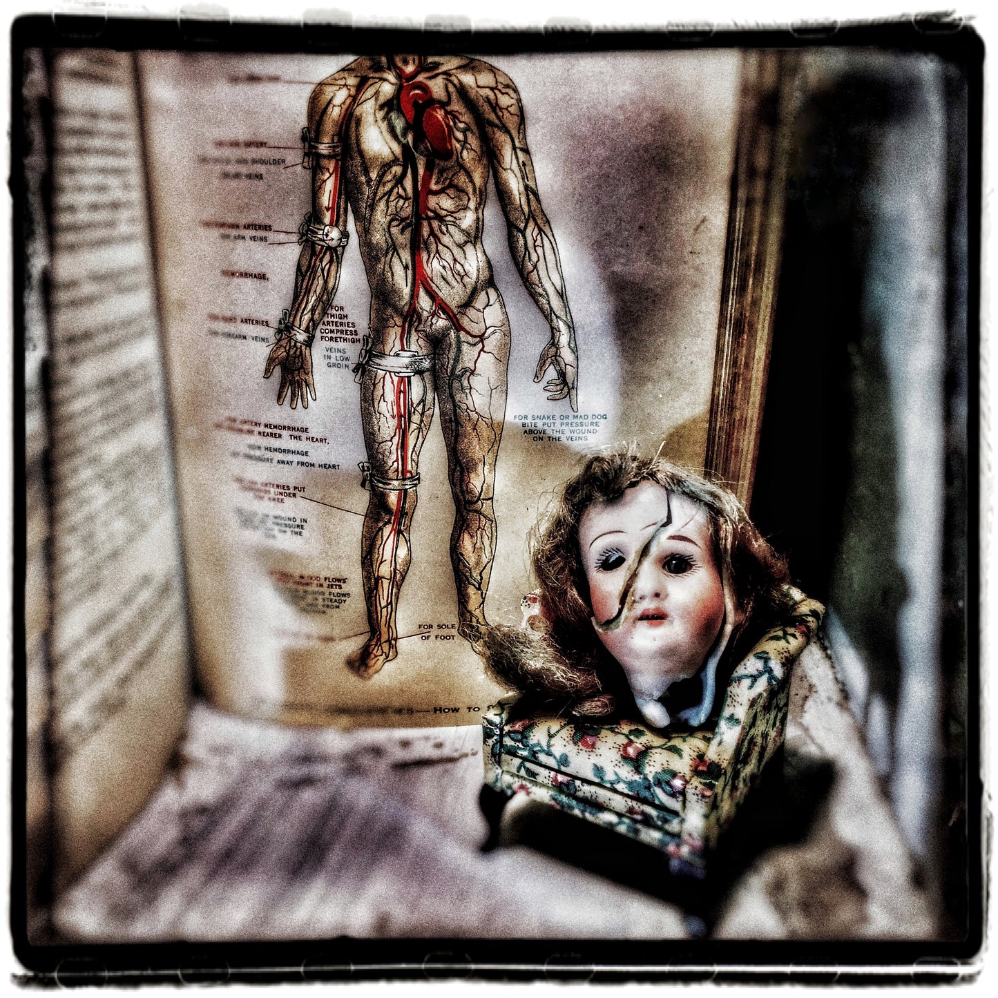 The Fragility of Science, 2022, photography, 9 x 9 in. / 22.86 x 22.86 cm.