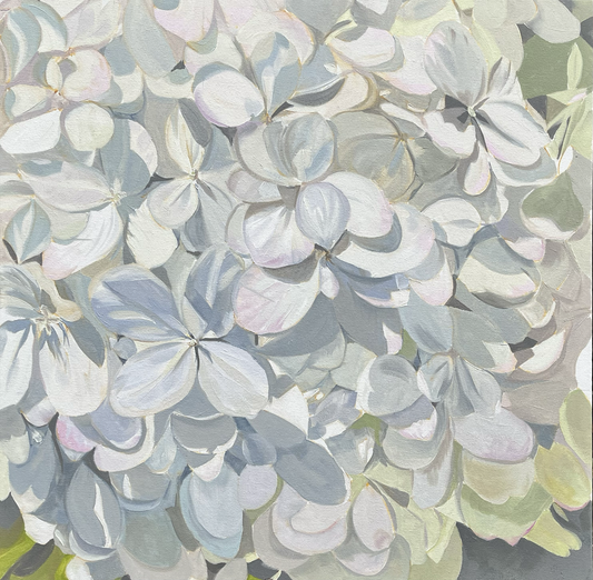 Limelight Hydrangea, 2025, oil, 24 x 24 in. / 60.96 x 60.96 cm.
