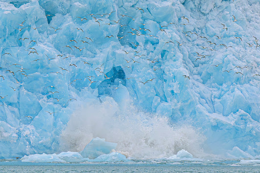 Svalbard Calving, 2025, chromaluxe aluminum, 16 x 24 in. / 40.64 x 60.96 cm.