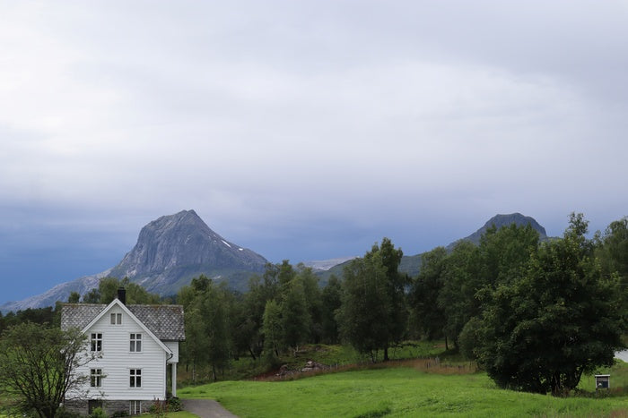 Me and the Mountain, 2023, digital photography, 80 x 53 in. / 203.2 x 134.6 cm.