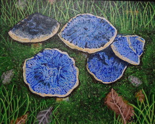 Mushrooms in the Field, 2023, acrylic, 8 x 10 in. / 20.32 x 25.4 cm.