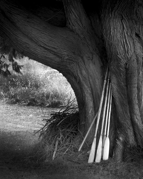 Oars, Doe Bay, 2015, archival digital print, 20 x 16 in. / 50.8 x 40.64 cm.