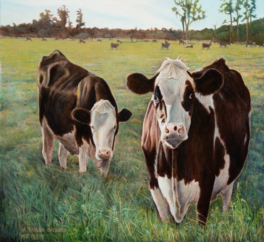 Cows, Savannah, GA, 2025, oil on canvas, 44 x 47 in. / 111.76 x 119.38 cm.