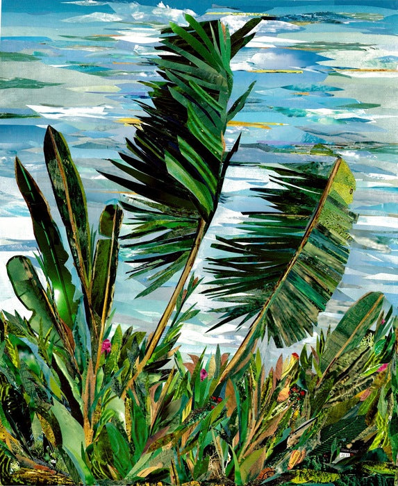 Palms in the Wind, 2017, national geographic magazines, 20 x 16 in. / 50.8 x 40.64 cm.
