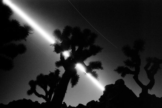 Path of the Moon, Joshua Tree National Park, 2021, gelatin silver print, 8 x 14 in. / 20.32 x 35.56 cm.