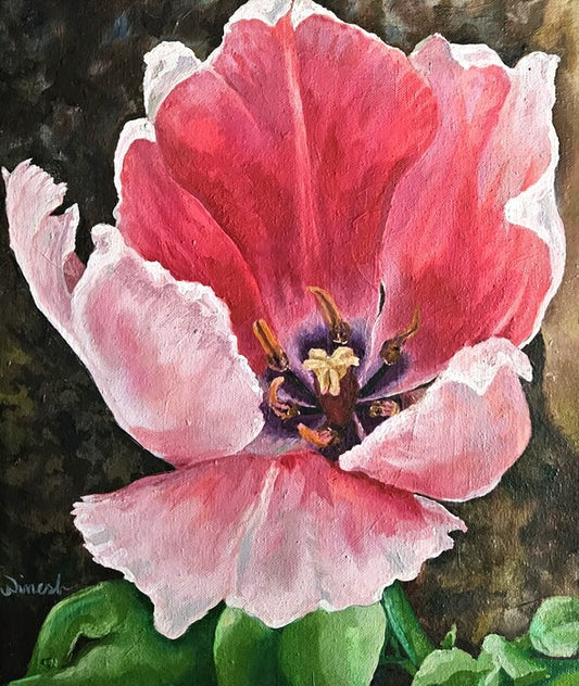 Pink Tulip, 2023, oil on canvas, 12 x 14 in. / 30.48 x 35.56 cm.