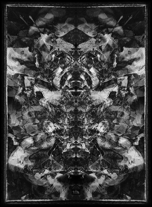 REM Sleep Demon, 2025, photography, 11 x 14 in. / 27.94 x 35.56 cm.